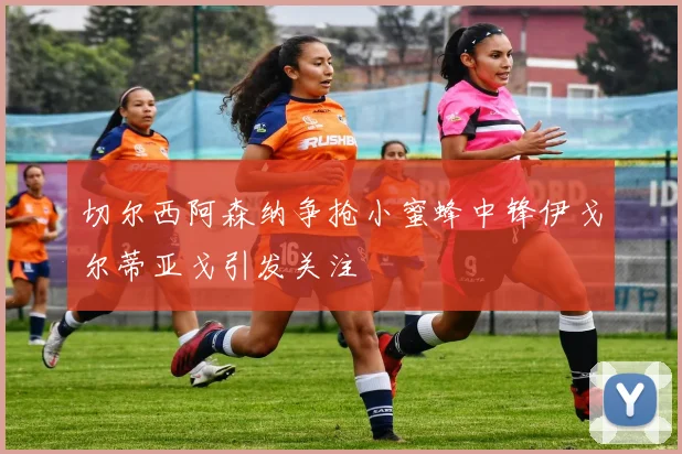 切尔西阿森纳争抢小蜜蜂中锋伊戈尔蒂亚戈引发关注