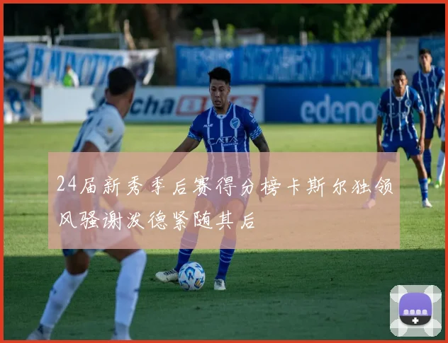 24届新秀季后赛得分榜卡斯尔独领风骚谢泼德紧随其后