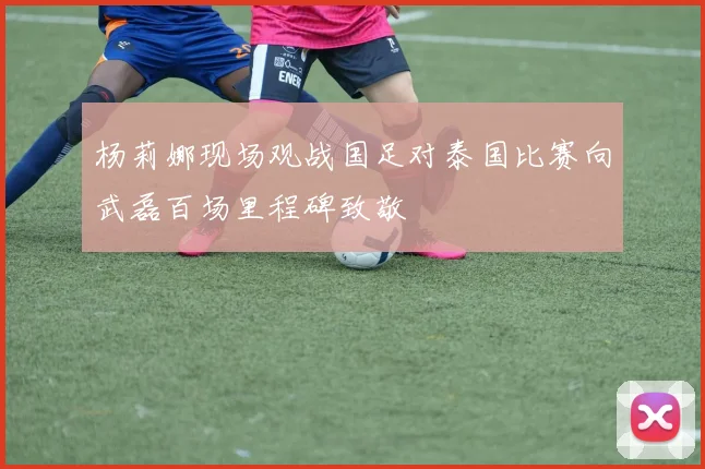 杨莉娜现场观战国足对泰国比赛向武磊百场里程碑致敬